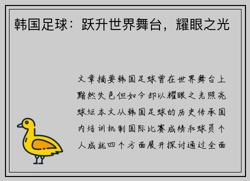 韩国足球：跃升世界舞台，耀眼之光