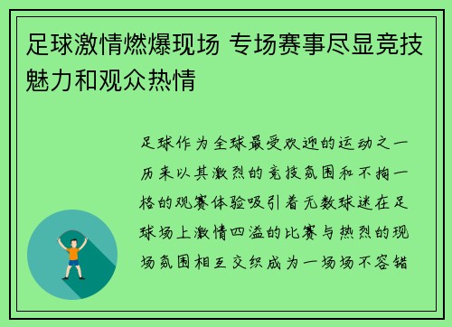 足球激情燃爆现场 专场赛事尽显竞技魅力和观众热情