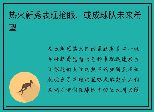 热火新秀表现抢眼，或成球队未来希望