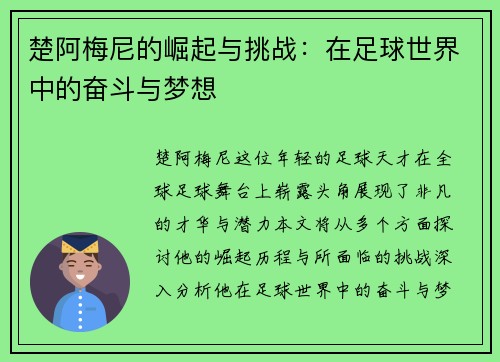 楚阿梅尼的崛起与挑战：在足球世界中的奋斗与梦想