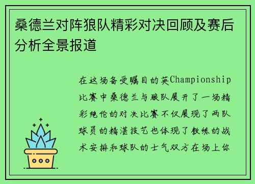 桑德兰对阵狼队精彩对决回顾及赛后分析全景报道