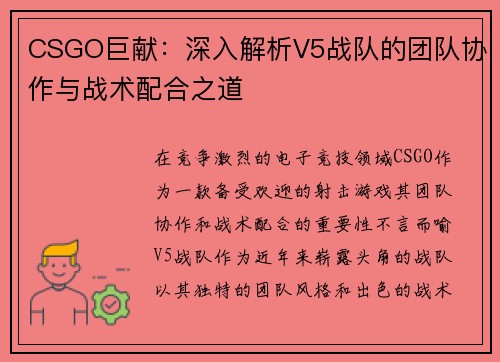CSGO巨献：深入解析V5战队的团队协作与战术配合之道
